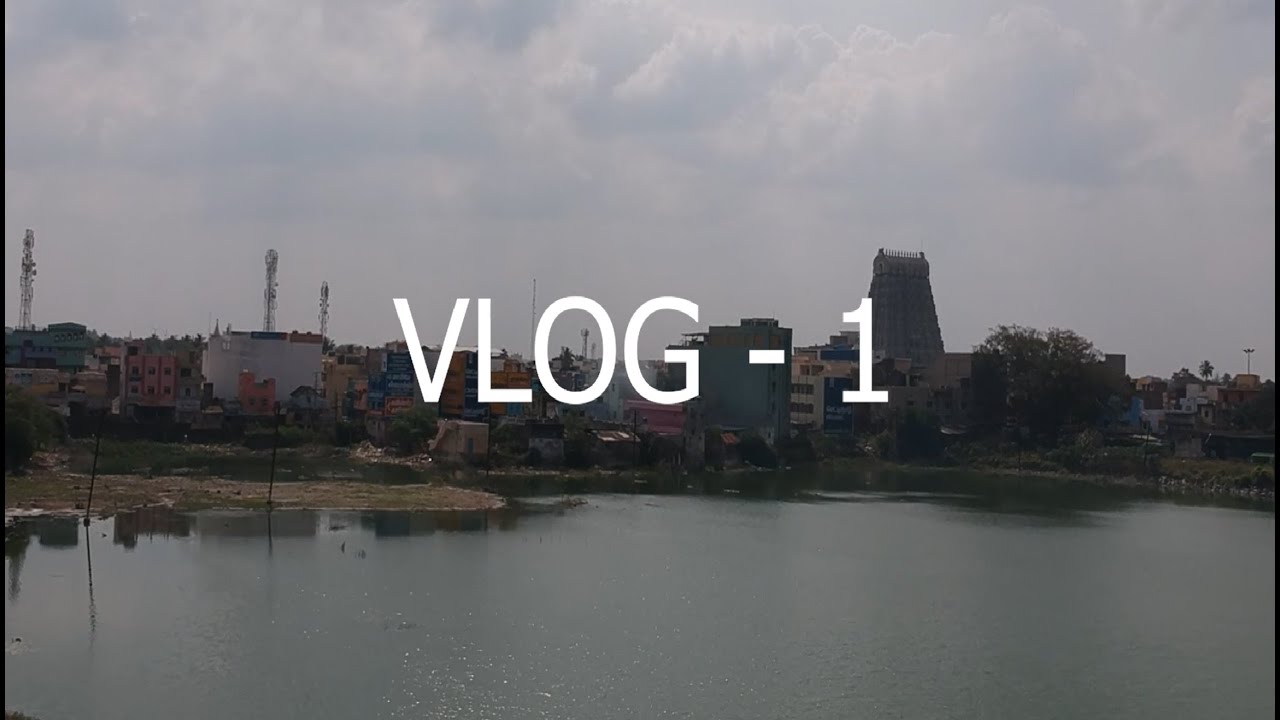 Visit to Sundarapandiapuram | Agraharam Sweets Vlog #tamilnadu #sunflower #sweet #lifestyle