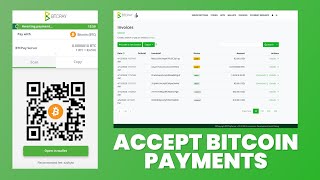 BTCPay Server: Accept Bitcoin Payments (FREE)