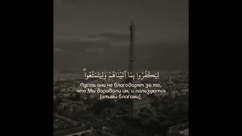 فَإِذَا رَكِبُوا فِي الْفُلْكِ دَعَوُا اللَّهَ|عبد الرحمن مسعد - سوره العنكبوت