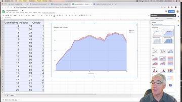 Prey and Predator Simulations