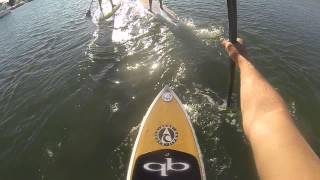 Newport back bay stand up paddling