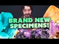 Brand New Rare Specimens! | Calcite, Aragonite, Scheelite and more!