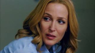 new gillian anderson and michael T weiss slideshow