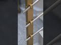 Are you still looking for a wholesale supplier of stainless steel guardrails in China?