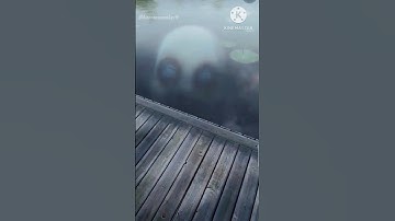 Fear Files Theme Song #shorts