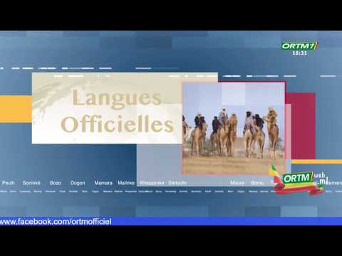 🔴 Direct | Bulletin d'Information en Langues Officielles du 15 septembre 2026