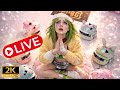 🟢 PUBG LIVE PEMUJA WWCD