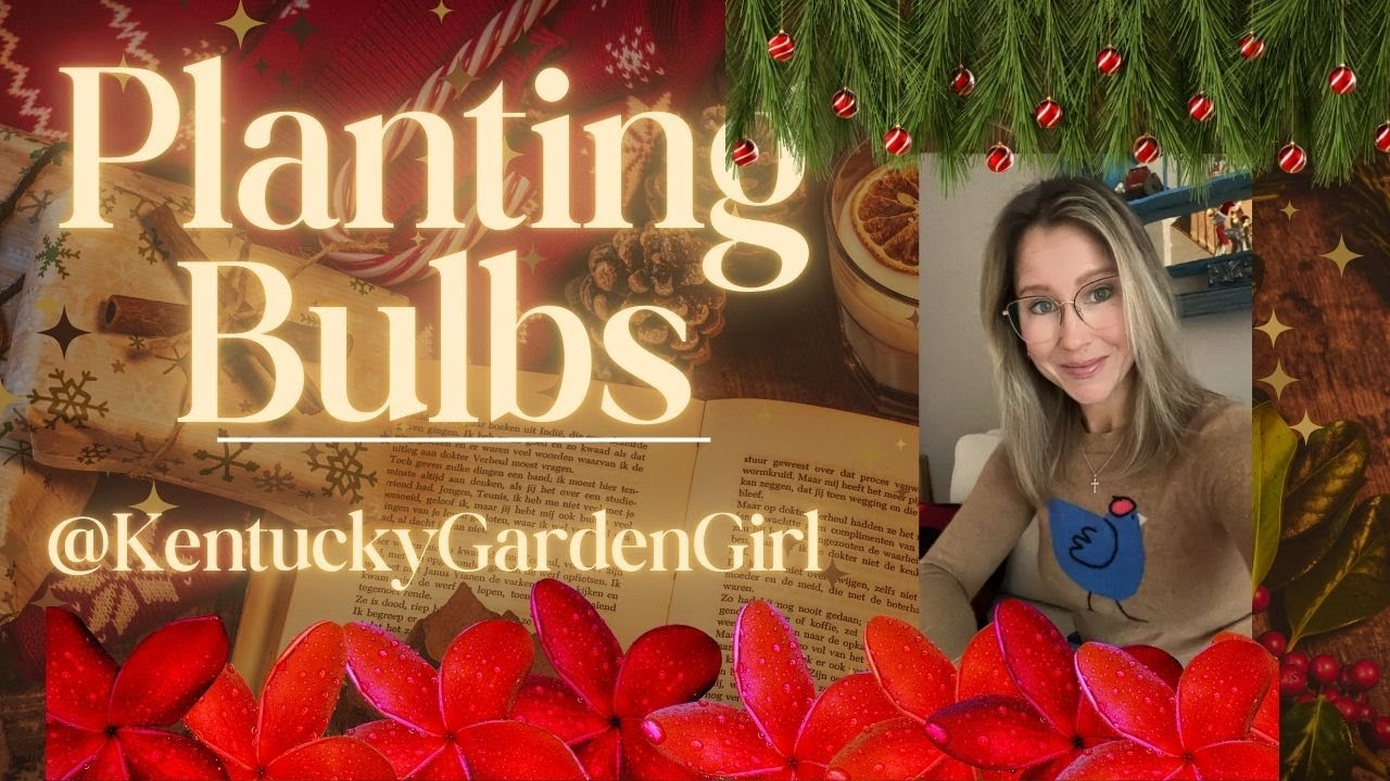 Planting bulbs before WINTER weather sets in for good