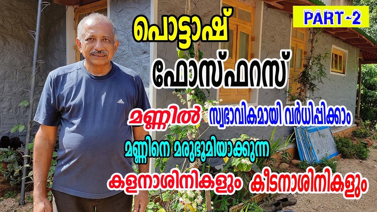 കൃത്രിമ വളങ്ങളില്ലാതെ പൊട്ടാഷ്  ഫോസ്ഫറസ് സ്വഭാവികമായി മണ്ണിൽ വർധിപ്പിക്കാ൦ | Njaanoru malayali