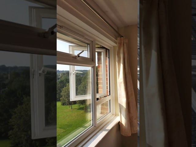 Video 1: View from the house