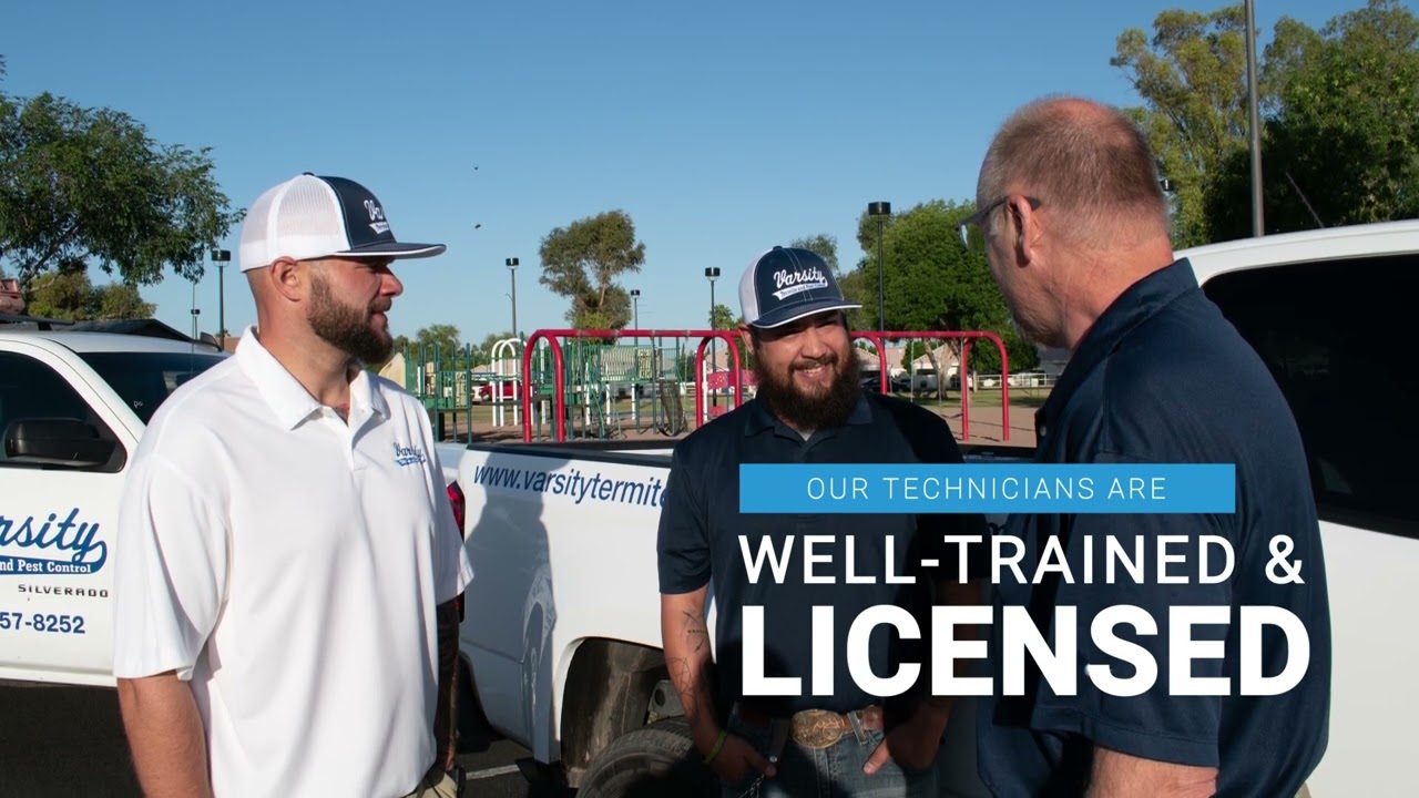 Top Rated Pest Control Company in Queen Creek, Arizona | Varsity Termite & Pest Control