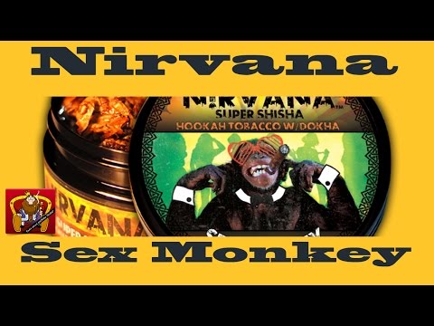 Nirvana Super-Shisha Sex Monkey im Test