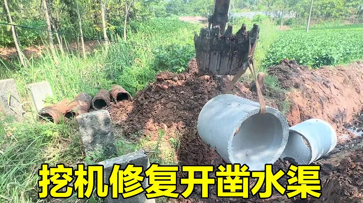 连续高温不下雨，挖机修复66年开凿的水渠，等黄石水库放水抗旱#手把手挖机实战教学 - 天天要闻