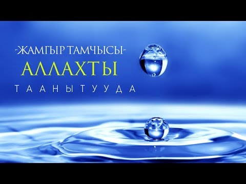 Video: Жамгыр тамчыларын кантип жасайсыз?