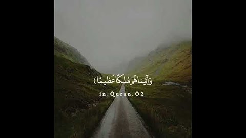 تلاوة خاشعة 🎧🔥 أجمل حالات واتس اب دينية مقاطع دينية قصيرة مقاطع انستقرام دينية