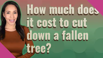 Chi devo chiamare per tagliare un albero?