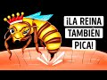 ¿Son más peligrosas las picaduras de la abeja reina? (Lo hemos descubierto)