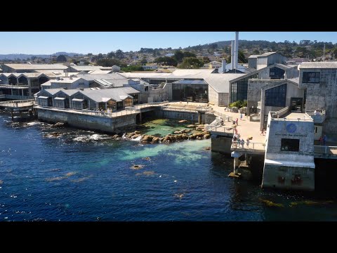 Monterey Bay Aquarium