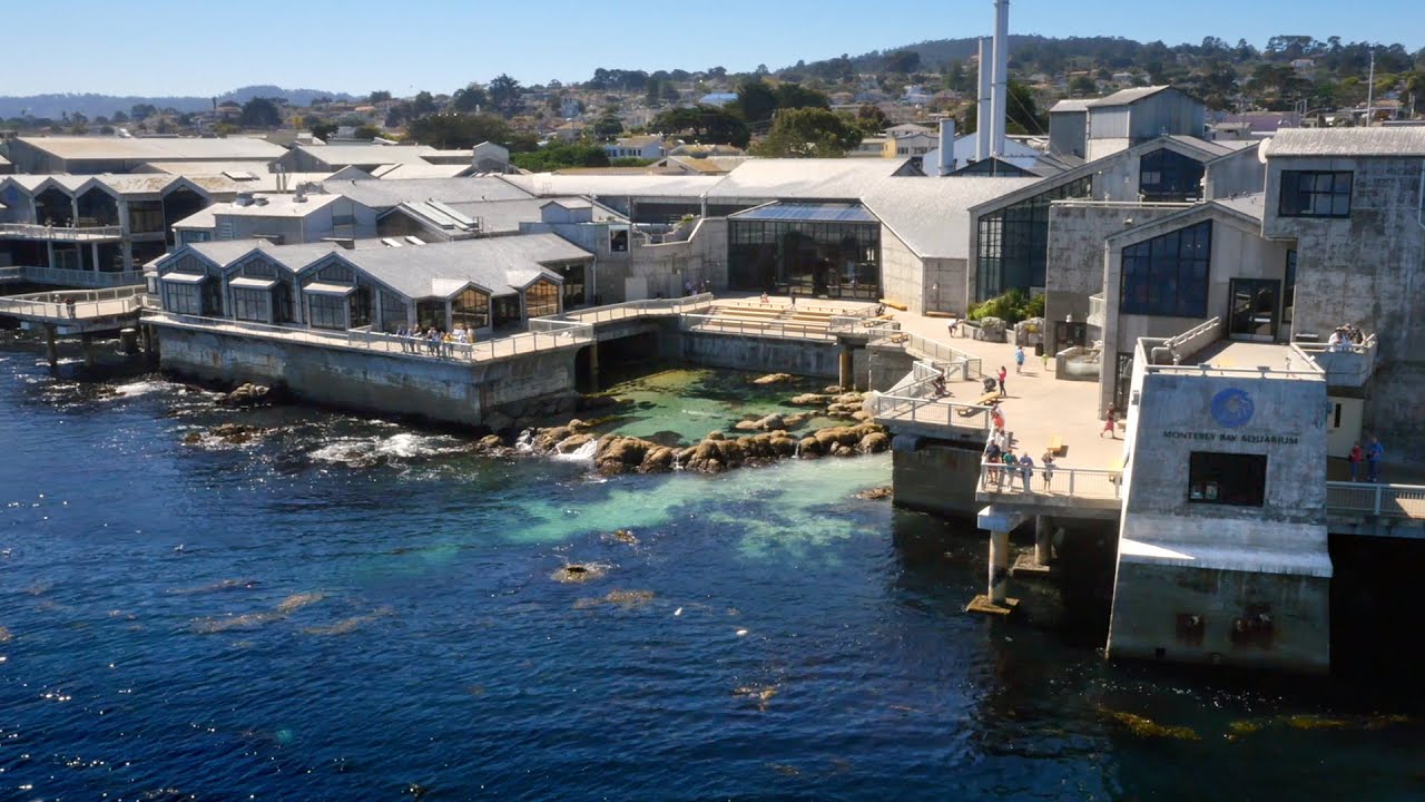 Monterey Bay Aquarium