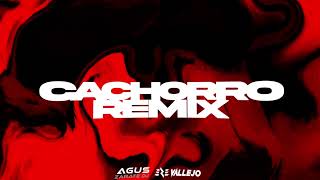 CACHORRO (Remix) - Agus Zarate DJ @EZEVallejo  [ @LaJoaqui  ]