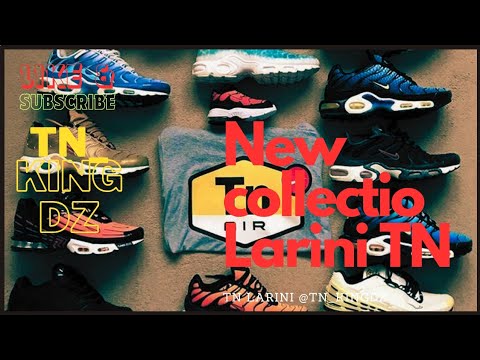 TN larini new collection 🔥🐊 أوخر لاريني خوتي - YouTube