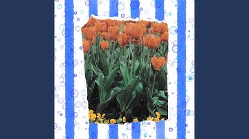 Beautiful Music for Forgetting Hope