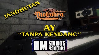 Download Lagu Ay [Tanpa Kendang Jandhut] TheCobraJandhut MP3
