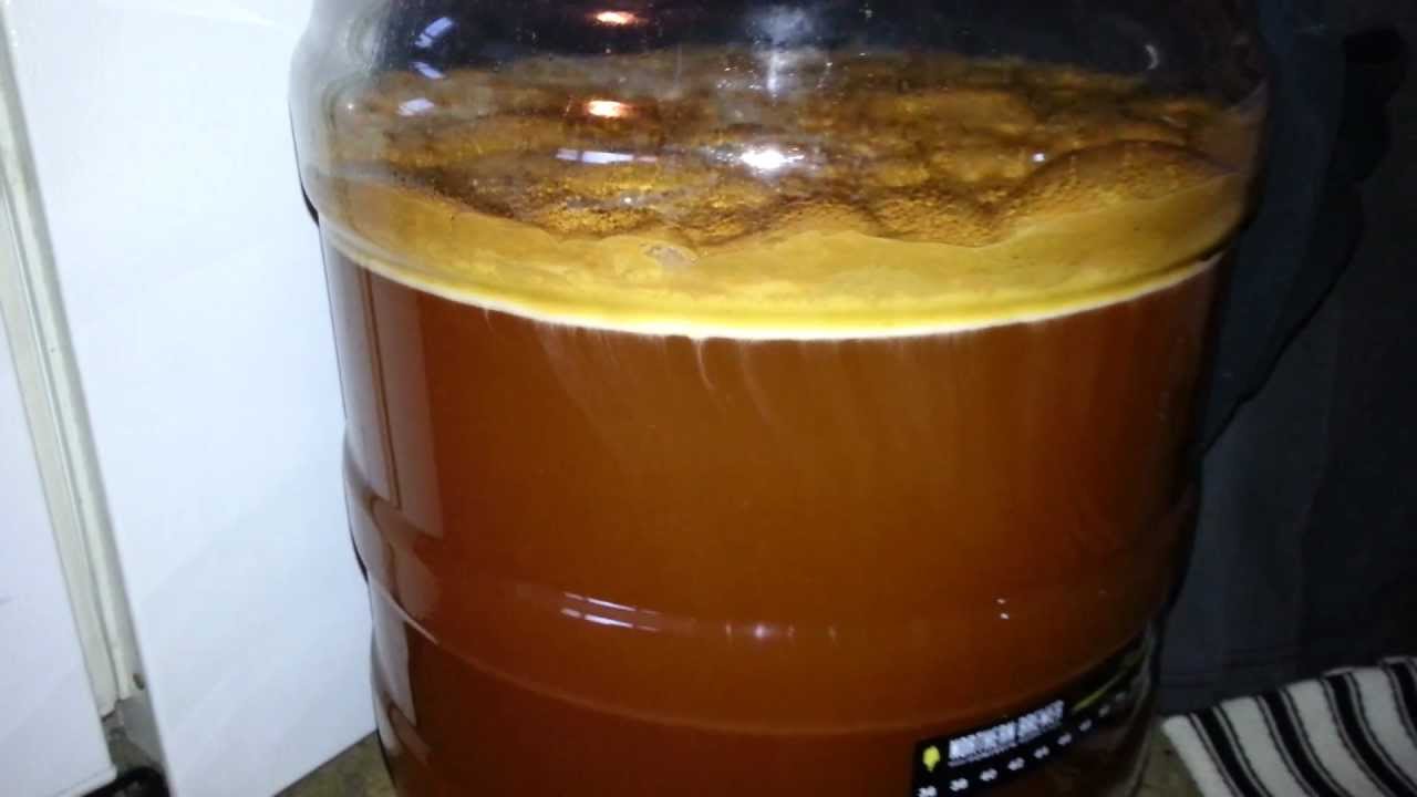 Resultado de imagen de beer fermentation"
