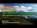 День 297. Ёжкин Кот в Чили. Араукания. Парк Конгильио. Кругосветное путешествие.