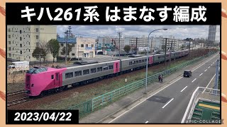 【はまなす編成】キハ261系はまなす編成 琴似〜発寒中央 通過 2023/04/22