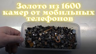 :   1600    !