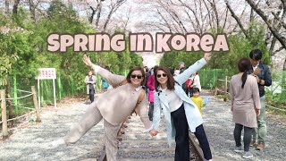 Spring in Korea 2018