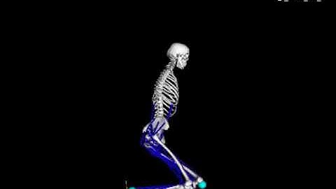 Fall detection without people: A simulation approach tackling video data scarcity