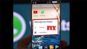 How to Fix WhatsApp Has Stopped Working Error in Android Tablet