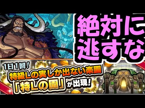 カイドウ勝てない人のためのイベントが神【モンスト】