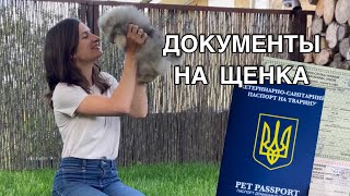 Какие документы должны быть у породистого щенка? | Питомник ...