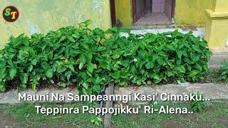 Download Lagu BUGIS Teppinra Cinnaku Saif Nursah MP3