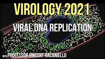 Virology Lectures 2021 #8 - Viral DNA Replication