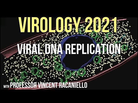 Virology Lectures 2021 #8 - Viral DNA Replication