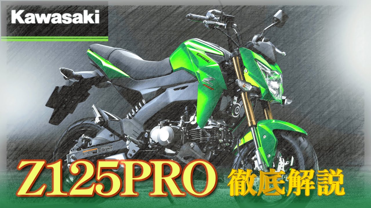 Z125PRO] A thorough explanation of the appeal of Kawasaki's rare