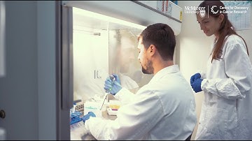 Centre for Discovery in Cancer Research (CDCR)