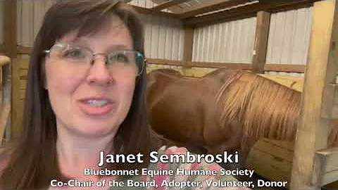 #GivingToHorses for #GivingTuesday - Annie & Snickers