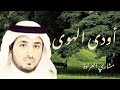 نشيد أودى الهوى - بدون ايقاع | مشاري العرادة رحمه الله | البوم رجائي 4