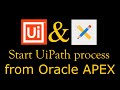 Oracle apex call uipath process  robotjs  rest api  oracle apex call javascript  script code