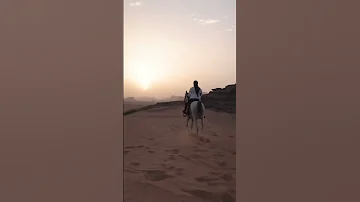 يامنوة الروح يوم ان الحشا ضمش محمد بن الذيب 