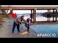 PESCA en ARROYO, Mira Lo Que nos Sucedió! Al Lado de la Ruta