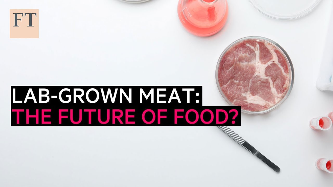 Artificial Meat, Lab-Grown Meat and the Future of Food