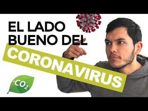 😷CORONAVIRUS: Los Beneficios para el PLANETA (inesperados) y 3 COSAS que hacer en CUARENTENA 🏠 hqdefault