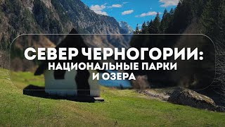 видео: СЕВЕР ЧЕРНОГОРИИ 2025 | ДУРМИТОР, ЧЕРНОЕ ОЗЕРО | БИОГРАДСКАЯ ГОРА картинка: СЕВЕР ЧЕРНОГОРИИ 2025 | ДУРМИТОР, ЧЕРНОЕ ОЗЕРО | БИОГРАДСКАЯ ГОРА