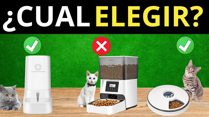 🥇Los 5 Mejores COMEDEROS AUTOMÁTICOS Para GATOS 2024 [Calidad precio]